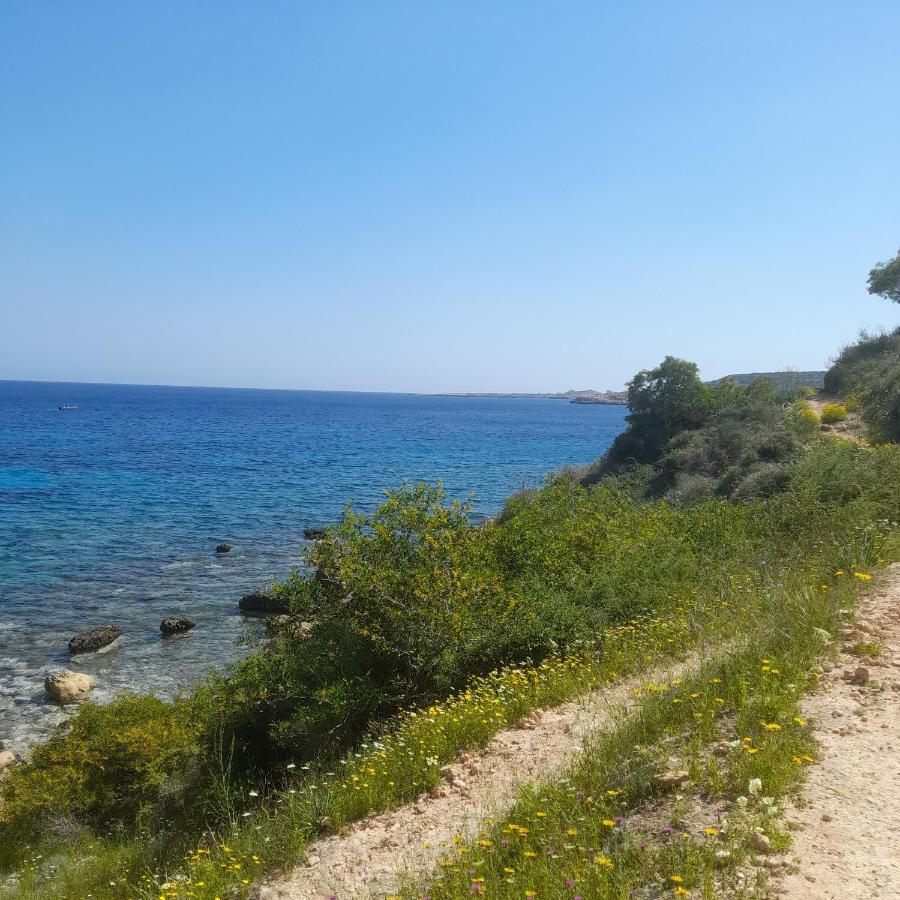 Marias Villa Protaras Esterno foto